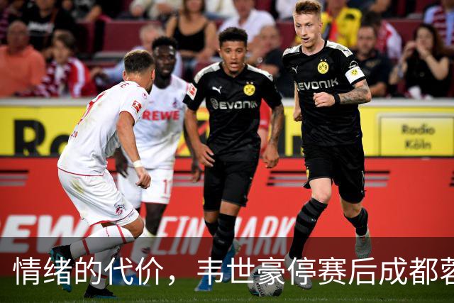 情绪的代价，韦世豪停赛后成都蓉城遭遇连败无进球